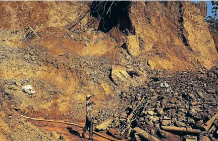  ?? PHOTO: REUTERS ?? A wildcat gold miner, or garimpeiro, works at a mine, also known as garimpo, at a deforested area of Amazon rainforest near Crepurizao, in the municipali­ty of Itaituba, Para State, Brazil.