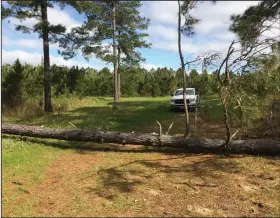  ?? (Arkansas Democrat-Gazette/Bryan Hendricks) ?? During a storm on April 12, this pine tree fell on the spot where the author would have parked his camper.