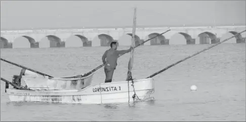  ??  ?? Un ribereño retorna temprano de la pesca de pulpo, cuyo volumen de captura se desplomó por los efectos de un frente frío que se quedó estacionar­io al norte de la Península