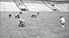 ?? EFE ?? Obreros apuran el sembrado de césped en la cancha del estadio de El Alto. /