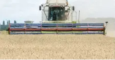  ?? — Reuters file photo ?? A combine harvests wheat in a field near the village of Zghurivka, in Kyiv region, Ukraine.