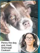  ??  ?? Penny the dog and, inset, Shannagh Cookson