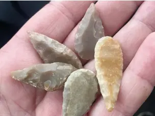  ??  ?? ●●Neolithic leaf-arrowheads discovered by Joanie on the bank of a stream