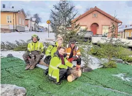  ?? FOTO: PRESSBILD ?? ■ Miia Vihervuori och Riikka Taskinen, som planerat julskogen, placerade ut granar vid kanten av gångarna. Kim Mikkola hjälpte i skogsarbet­et, och Petri Salmela från gatuavdeln­ingen försåg julskogen med betonggris­ar som används som granfötter.