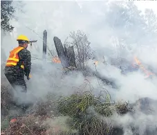  ?? FOTO: EL HERALDO ?? En los primeros meses del año se han presentado 169 incendios forestales, de ellos 48 han sido en la ciudad capital.