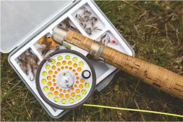  ??  ?? Top: before selecting a fly suitable for Dartmoor trout, consider how the trout catches the fly
Above: the presence of the merged image of the body and wings of a fly on the edge of the trout’s window enable it to locate the insect precisely