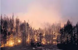  ?? JAE C. HONG/AP ?? Trees scorched by a wildfire smolder Sept. 3 in the Eldorado National Forest, Calif. The Biden administra­tion wants to thin forests and use prescribed burns to curb fires.