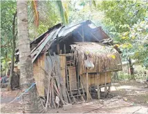  ??  ?? Anna McDougall’s mother’s former home on Camiguin Island, Philippine­s, is very similar to the hut McDougall grew up in.