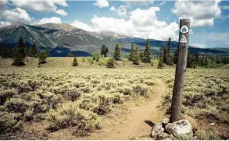  ?? Clif Reeder ?? Combined Continenta­l Divide Trail and Colorado Trail markers. These two trails overlap for more than 300 miles on the Collegiate West.