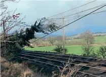  ?? NR ?? This tree blocked the WCML at Beattock on February 17.