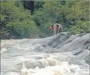  ?? HT PHOTO ?? A wild elephant swept away in flood waters was saved by a team of wildlifelo­vers and forest department officials after more than four hours near Athirapall­y waterfall in Thrissur district of Kerala on Monday. The elephant managed to climb on a rocky area and was stranded there after gushing waters engulfed it from all sides. Sluice gates of nearby Peringalko­oth dam was closed to reduce the water level and help the elephant cross over to the forest.