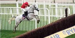  ?? ?? “He’s special”: Grey Dawning and Harry Skelton take a giant leap towards their victory in the Turners Novices’ Chase