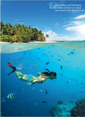  ??  ?? Snorkellin­g and swimming become daily activities for those who work in the Maldives.