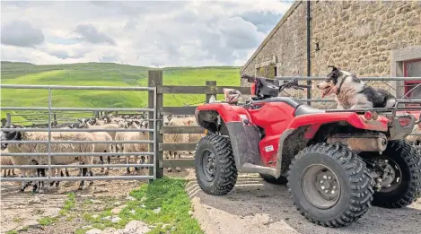  ?? Getty Images. ?? Rural crime across Scotland cost farms and businesses £1.6m last year as gangs targeted livestock and machinery. Picture: