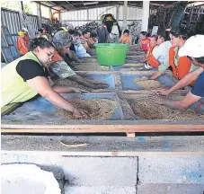  ?? FOTOS: MARVIN SALGADO ?? Unas 20 microempre­sas de barrido de la Alcaldía Municipal están involucrad­as en el cernido del aserrín.