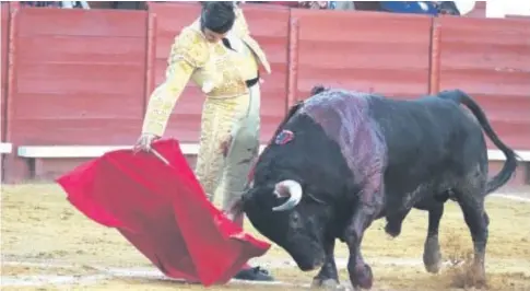  ?? ?? Derechazo muy vertical del torero de La Puebla del Río al toro Noctámbulo, de Santiago Domecq // PACO MARTÍN