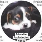  ??  ?? Adorable: Paul adopted
Nancy