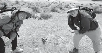  ?? ?? Mike and Nancy Jacobs, who are on the nine month cruise, pose for a selfie at the Punta Tombo Penguin Rookery, in Puerto Madryn, Argentina, January 9, 2024, in this still image obtained from social media. (Reuters photo)