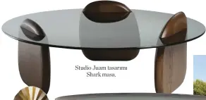  ??  ?? StuDio JuAm tAsArımı ShArk mAsA.