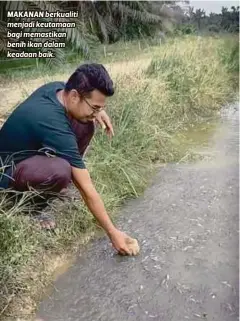  ??  ?? MAKANAN berkualiti menjadi keutamaan bagi memastikan benih ikan dalam keadaan baik.