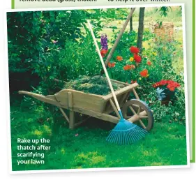  ??  ?? Rake up the thatch after scarifying your lawn