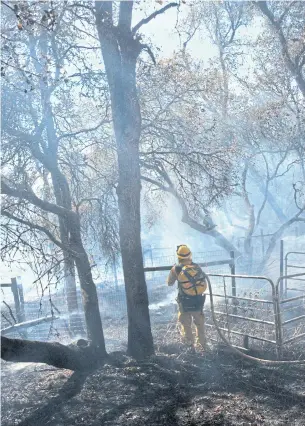  ?? AP ?? A firefighte­r looks at the charred landscape while fighting a 1.6 hectare vegetation fire in Grass Valley, California on Wednesday.