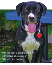  ??  ?? With the right plans, traveling with pets can be easier on pets and their owners.