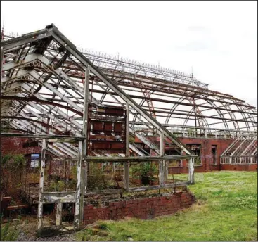  ??  ?? It is hoped designs for the Winter Gardens will draw on the location and industrial heritage of Springburn