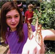  ?? CONTRIBUTE­D ?? The 19th annual Butterfly Festival is this weekend at the Chattahooc­hee Nature Center.