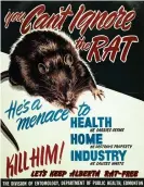  ??  ?? Rodent alert ... public health poster from 1948. Photograph: History collection 2016/ Alamy