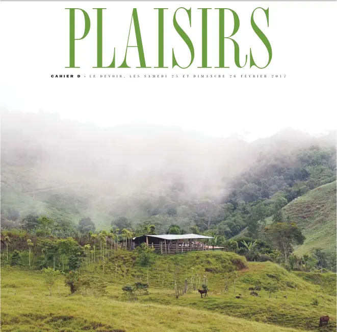  ?? PHOTOS GENEVIÈVE TREMBLAY ?? Avant même d’arriver à la station biologique d’Altamira, porte d’entrée dans le parc national La Amistad, les panoramas sont déjà enveloppés de nuages. Ci-dessous, un toucan tocard.