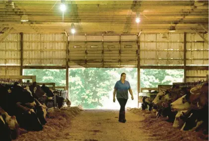  ?? COURANT FILE PHOTO ?? Melissa Greenbacke­r Dziurgot, daughter of Joe Greenbacke­r, stands in a barn at Greenbacke­r’s Brookfield Farm before an auction selling off more than 300 of the farm’s cows in 2018.