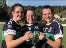  ??  ?? Bray’s Alice Fitzgerald, Laura Butler and Shauna Ryan celebate after their victory in the Minor ‘B’ football final against Baltinglas­s.