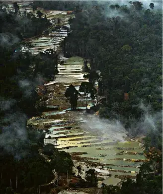  ?? Daniel Paranayba ?? Atividade de mineração ilegal documentad­a no interior da Floresta Nacional de Altamia, no estado do Pará