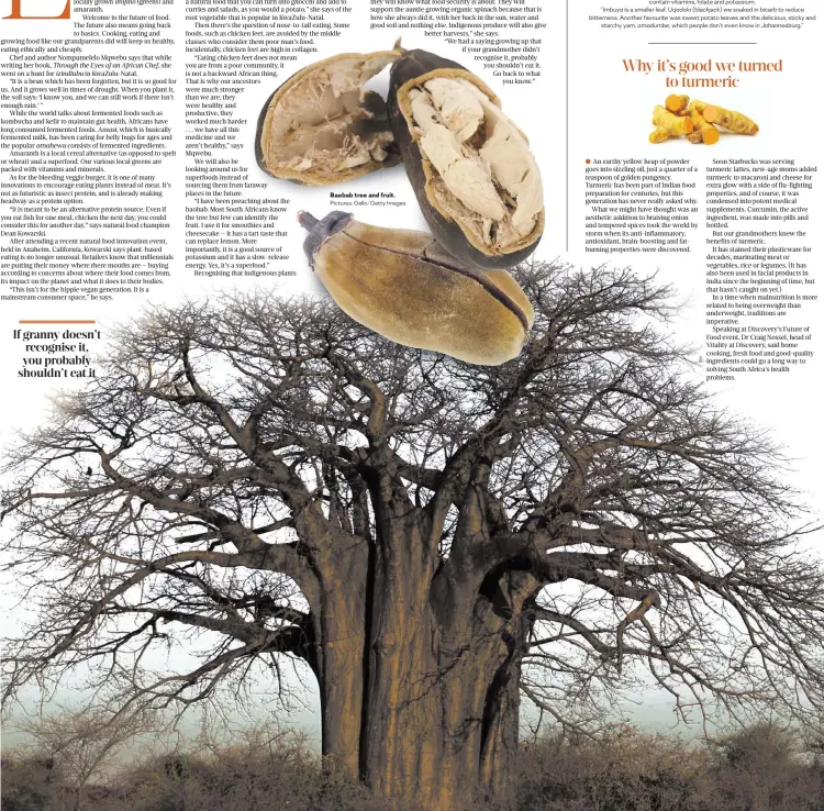  ?? Pictures: Gallo/Getty Images ?? Baobab tree and fruit.