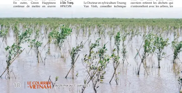  ?? ?? Mangrove dans le cadre du projet Forest Symphony à Sóc Trang. HPX/CVN