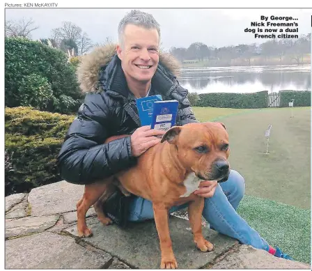  ?? Pictures: KEN McKAY/ITV ?? By George... Nick Freeman’s dog is now a dual French citizen