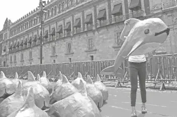  ?? REBECCA BLACKWELL ?? EN ESTA FOTOGRAFÍA del 8 de julio de 2017, una mujer carga una réplica de vaquita marina durante un evento en el Palacio Nacional de la Ciudad de México.