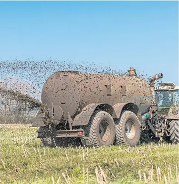  ??  ?? RESEARCH: Farmers are examining using “poo power” from slurry to fuel milk tankers.