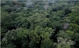  ?? Photograph: Guerchom Ndebo/AFP/Getty ?? A staggering 90% of the dense forests under threat from new fossil fuel investment­s are in the Congo basin.