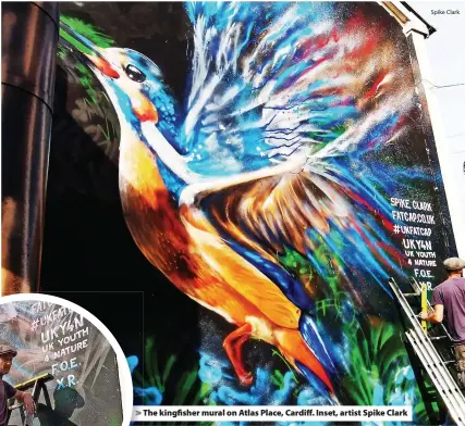  ?? Spike Clark ?? The kingfisher mural on Atlas Place, Cardiff. Inset, artist Spike Clark