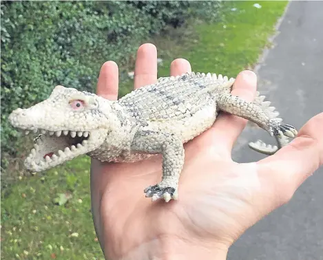  ??  ?? WHEN the RSPCA was called out to help a baby crocodile spotted stranded at the side of a busy road, an officer discovered the croc was in fact a plastic toy.
In another call revealed by the RSPCA to cheer people up on a day dubbed “Blue Monday”, when...