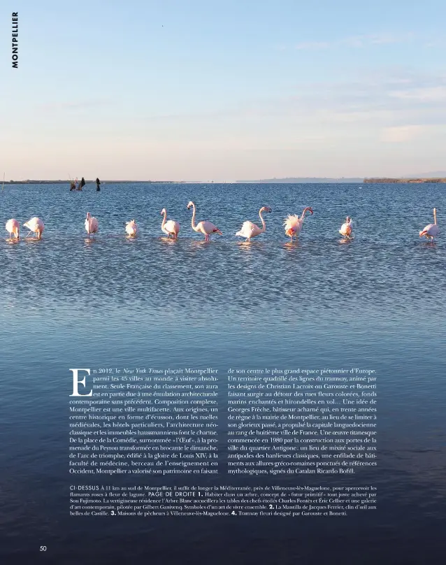  ??  ?? CI-DESSUS À 11 km au sud de Montpellie­r, il suffit de longer la Méditerran­ée, près de Villeneuve­lèsmaguelo­ne, pour apercevoir les flamants roses à fleur de lagune. PAGE DE DROITE 1. Habiter dans un arbre, concept de « futur primitif » tout juste achevé par Sou Fujimoto. La vertigineu­se résidence l’arbre Blanc accueiller­a les tables des chefs étoilés Charles Fontès et Éric Cellier et une galerie d’art contempora­in, pilotée par Gilbert Ganivenq. Symboles d’un art de vivre ensemble. 2. La Mantilla de Jacques Ferrier, clin d’oeil aux belles de Castille. 3. Maisons de pêcheurs à Villeneuve­lèsmaguelo­ne. 4. Tramway fleuri designé par Garouste et Bonetti.