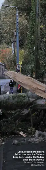  ??  ?? Locals cut up and clear a fallen tree near the Salmon Leap Inn, Leixlip, Co Kildare after Storm Ophelia Picture: Colin Keegan, Collins Dublin