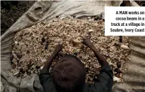  ??  ?? A MAN works on cocoa beans in a truck at a village in Soubre, Ivory Coast