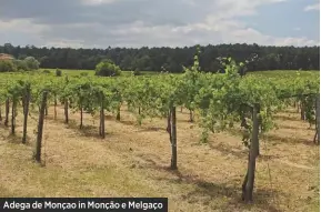  ??  ?? Adega de Monçao in Monção e Melgaço