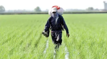  ?? — Bernama photo ?? Dr Shahrul Razid says in Sarawak, one of the best strategies to strengthen food security, especially rice, is to empower farmers with small farming plots who have been working their fields for generation­s.