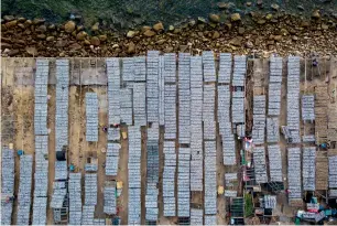  ?? AFP ?? Chinese fishermen drying fish in the sun in Shenzhen, China’s southern Guangdong province. —