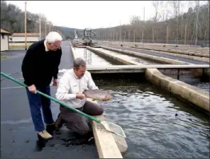  ?? Arkansas Democrat-gazette ?? Leon Alexander (left), president of the Friends of the Norfork National Fish Hatchery, helps hatchery manager Ken Boyles check on rainbow trout at the hatchery in 2005.