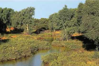  ?? /Cameron Spencer/Getty Images ?? Far and away: The Luvuvhu River runs through the Pafuri game reserve in the Kruger National Park.